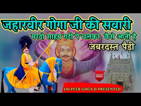 सवारी की पैड़ी | गोगा जी को हाजीर करने वाली पैड़ी | Jaharveer Goga ji ki Paidi |Mangu Nath and party