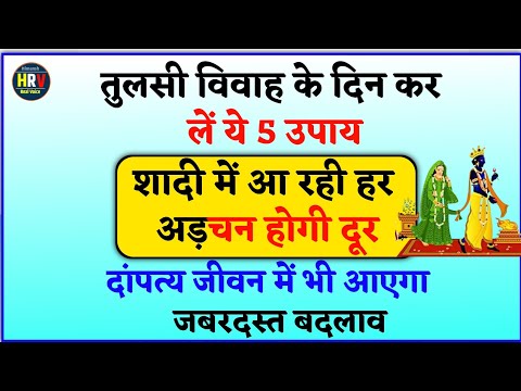 तुलसी विवाह के दिन कर लें ये 5 उपाय, शादी में आ रही हर अड़चन होगी दूर, दांपत्य जीवन में होगा बदलाव