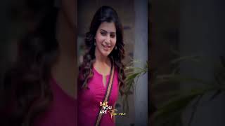 #thalapathy #vijay #love #whatsapp #status