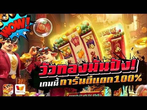 วัวทองมันปัง! เกมนี้ การันตีแตก100%│สล็อตเว็บตรง Fortune OX PG วัวนำโชค เว็บตรงไม่ผ่านเอเย่นต์