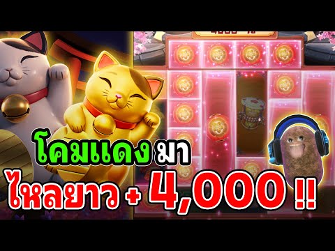 Lucky Neko : สล็อตPG สล็อตลัคกี้เนโกะ โคมแดงเต็มจอ สล็อตแตกง่าย !!