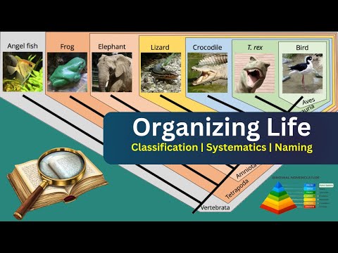 Classification, Systematics, and Binomial Nomenclature