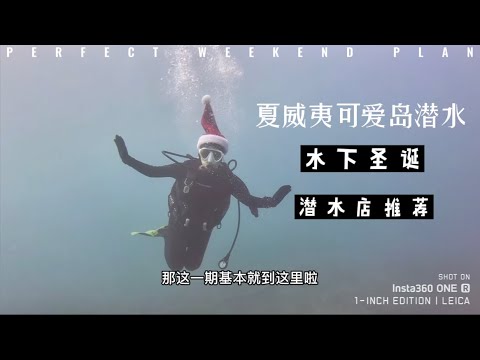 [我的潜水日记4] 夏威夷可爱岛潜水 | 水下如何过圣诞 | 圣诞帽水下合影大爪马 | 差点丢了圣诞帽 #潜水 #夏威夷 #vlog