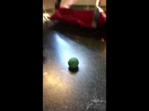 Annoying Orange: Bathroom in a pod