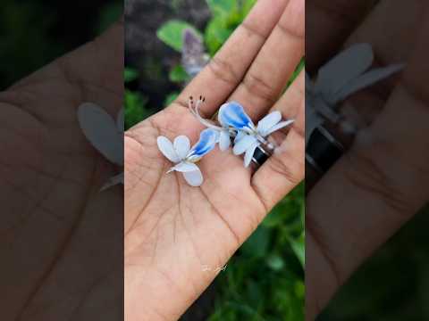 Horizone Hills ||Vazhayur Mala