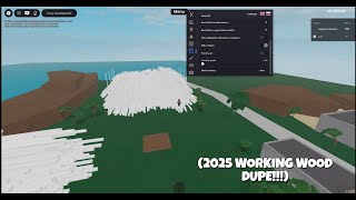 LUMBER TYCOON 2 step by step wood dupe tutorial (WORKING 2025!)