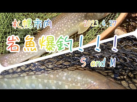 岩魚爆釣！