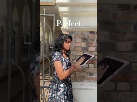 perfect (ed sheeran) - geoshred cover - mesha