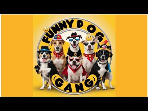 FUNNY DOG GANG 🤣
