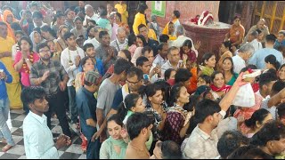 Shri Radhavallabh lal ju live darshan #darshan #vrindavan #radhavallabh #shrijifilm