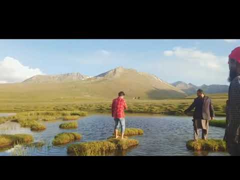 rao arsal