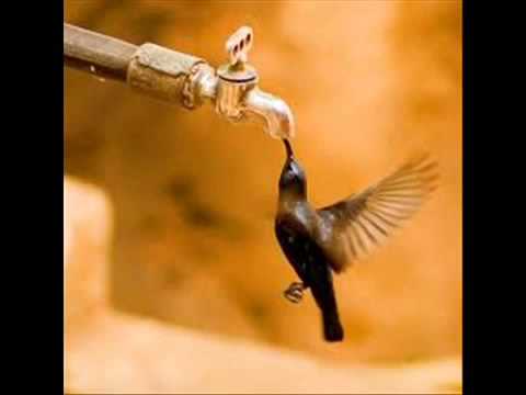 Zindagi