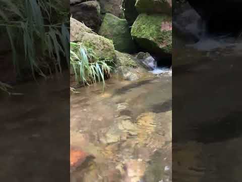 Beautiful Nature #music #happy #nature #viral #video #viralvideo #everybody #beautiful #tiyasha