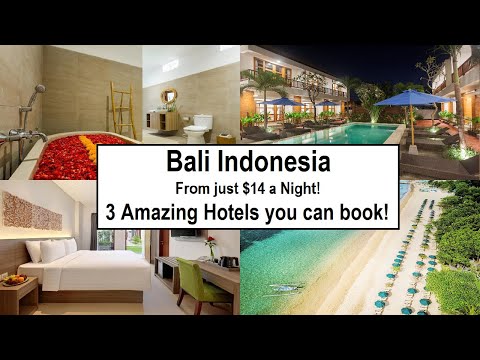 3 Amazing Bali Hotels You Won’t Believe Are This Cheap! From Just $14Night or $415Month!