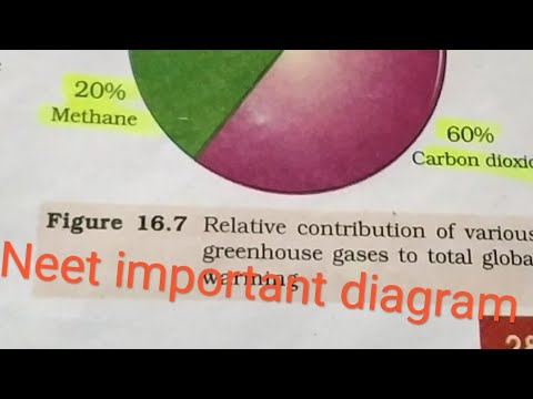 Neet important diagram for #22