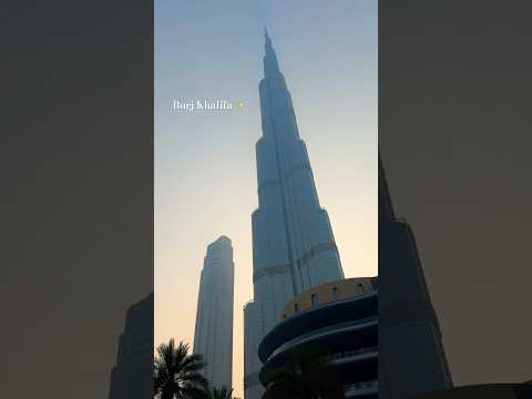 Habibi welcome to Burj khalifa! 😍 #burjkhalifa #habibicometodubai #shorts