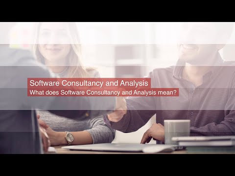 Software Consultancy and Analysis