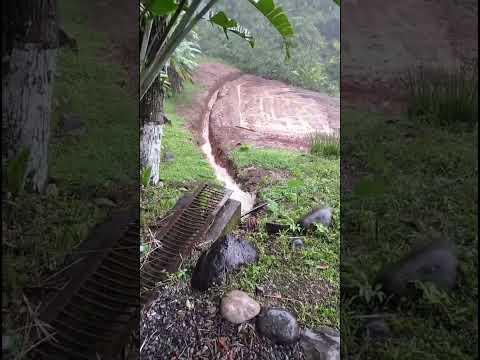 The rain’s not exactly on our side today 🌧️ 😑 #offgrid #rain #rainyday #puravida #livingthedream