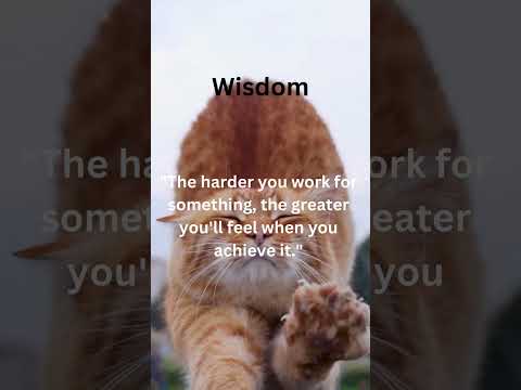 Motivational Video Day 13