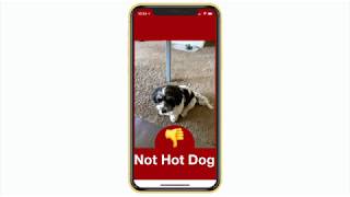 "Hot Dog / Not Hot Dog" Demo on #Claris #FileMaker Go using a #CoreML Vision Model