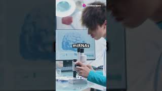 microRNA (miRNA) | UPSC Science and Technology