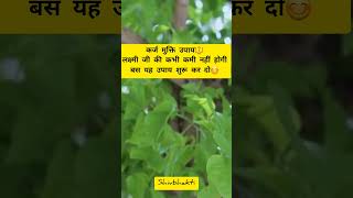 कर्ज मुक्ति उपाय || Pradeep mishra ji ke upay || #aajkaupay #pradeepmishra