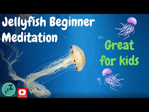 JELLYFISH SWIMMING - Easy Beginner Meditation - GREAT FOR CHILDREN