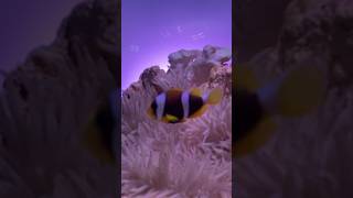 モゾワンダーシティー（UNDER WATER SPACE）アンダーウォータースペース