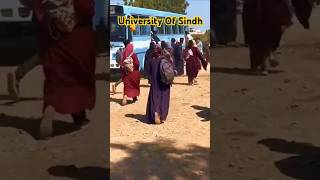 University Of Sindh student #jamshoro #student #buses #university