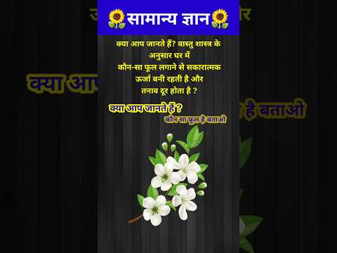 घर में कौन सा फूल लगाने से पॉजिटिविटी आती है तनाव दूर होता है? // GK question // #shorts #gyaanibomb