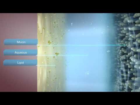 1  Tear Film Layers2 by Tear Science