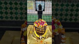 #devonkedevmahadevsongs Har har Mahadev 🌹🌹🌹❣️🙏