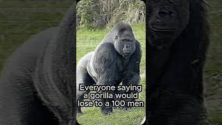 100 men VS Big foot #gigantopithecus