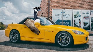 Honda S2000 | Paint Correction, Ceramic Coating, and Paint Protection Film