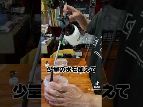 金魚に食物繊維たっぷりの枝豆をあたえると？金魚ショップあまてらす#金魚