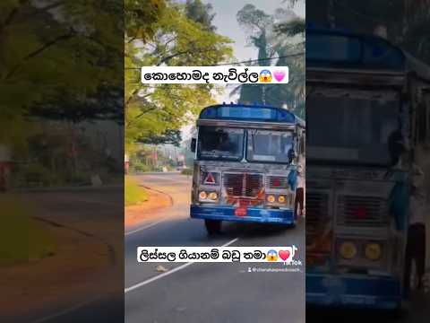 නැවිල්ල කොහොමද😱❤️ #busworld#automobile #newbusvideo#vahicles#slvehicles #dhamrejini#trending#driver