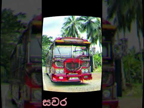 කෙල්ලොන්ගේ නම් තියෙන සුපිරි බස්💖🥰 #automobile #srilanka #travel #bus #love #dj #name #1million #2025
