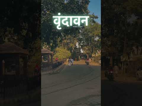 भाग्य बड़ों वृन्दावन पायो #shorts #viral #vrindavan #shortsviral #love #trending