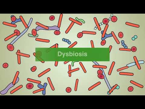 Fecal microbiota-based treatments for C diff infection