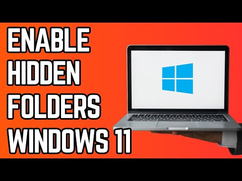How to Enable Hidden Folders Windows 11 (2024)