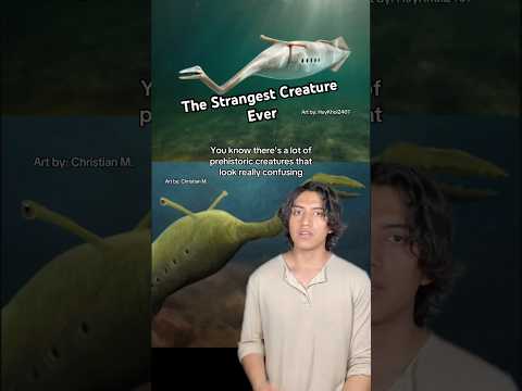 #prehistoric #animals #nature #evolution #ocean