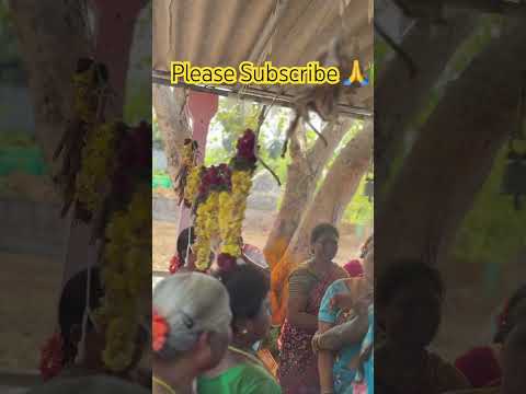 Village festivals🎉#shortvideo #shortfeed #shorts #shortsviral #templerituals #villagelife