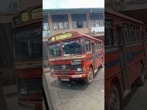 stb bus yard