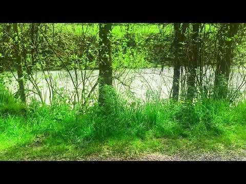 rest or meditate