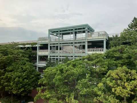 東京ディズニーシー・パーキング　アナウンス(昼ver.) /Tokyo DisneySea parking announce (day ver.)