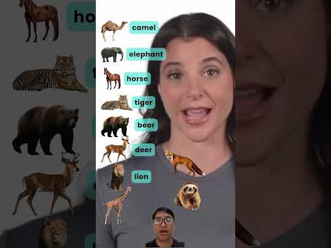 Animals in English. #english #learnenglish #vocabulary