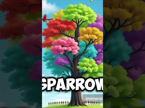"The Sparrow’s Return | A Fresh New Beginning 🌟" #disney #lifelessons #kindnesstales #newbeginnings