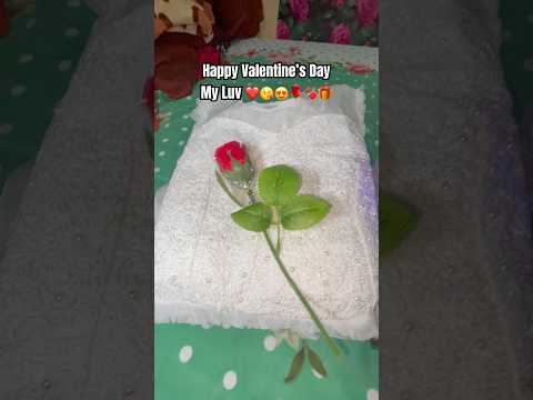 Happy Valentine’s Day ❤️🍫🌹🎁 Luv u Jaan. #valentinesday #youtubeshorts  #viral