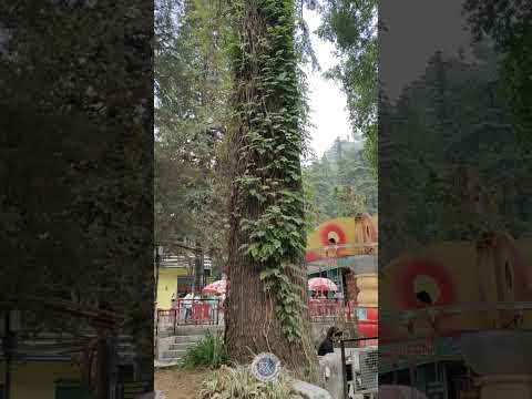 अटल उद्यान मसूरी का खूबसूरत नजारा | Awesome View Of Atal Udyan Mussoorie | मसूरी | Mussoorie | अटल |