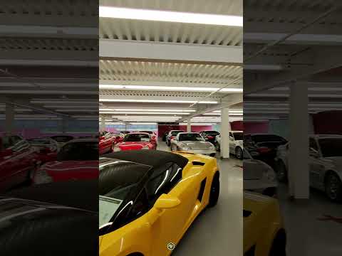 Dream collection #ferrari #lamborghini #porsche #mercedes #bmw